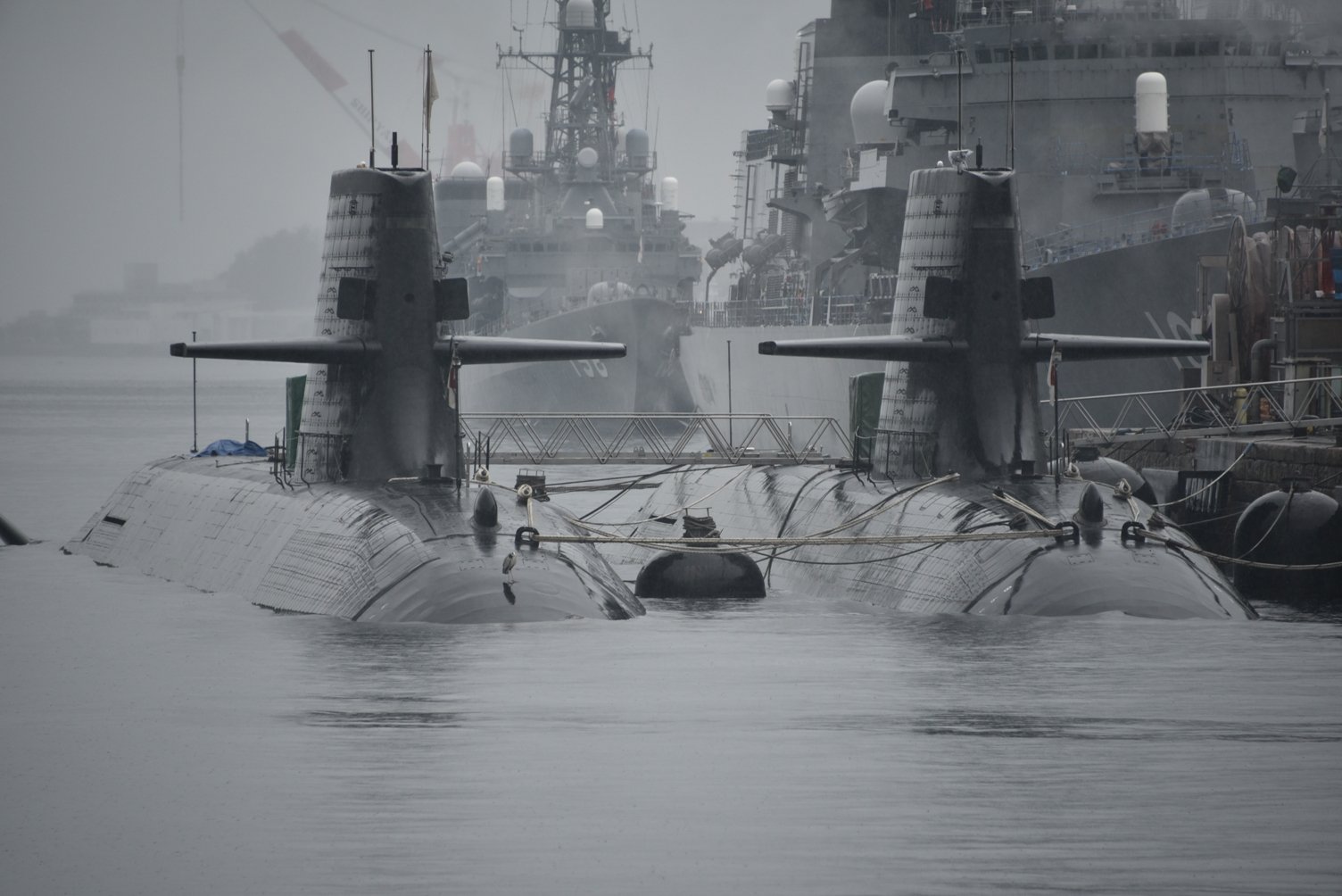 ⚓ 까마귀 작은 섬 길(아레이카라스코지마) 이미지 6